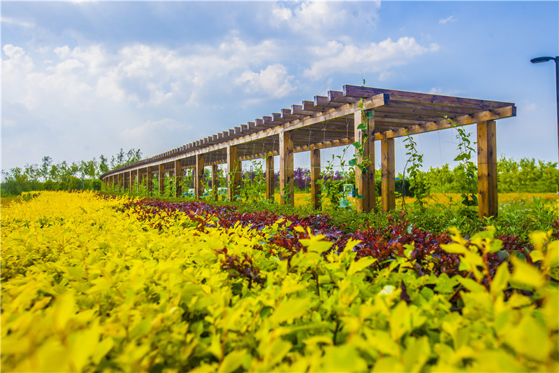 長廊2（長春園區(qū)）